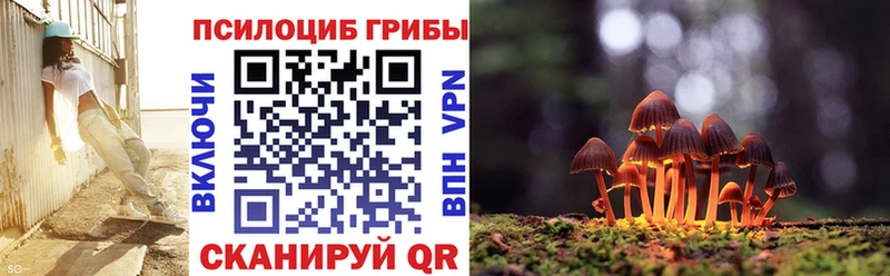 Купить закладки  Сковородино  Псилоцибиновые грибы прущие грибы 