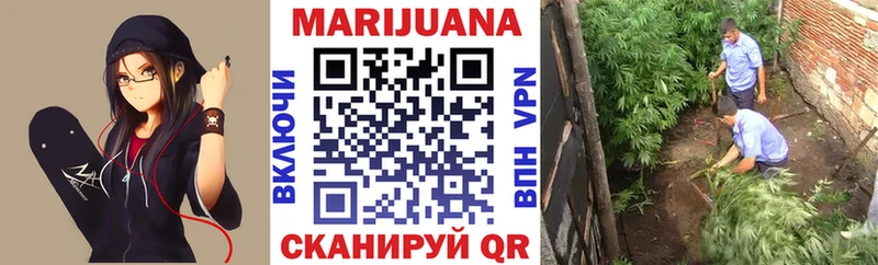 Купить где  Сковородино  Конопля SATIVA & INDICA 
